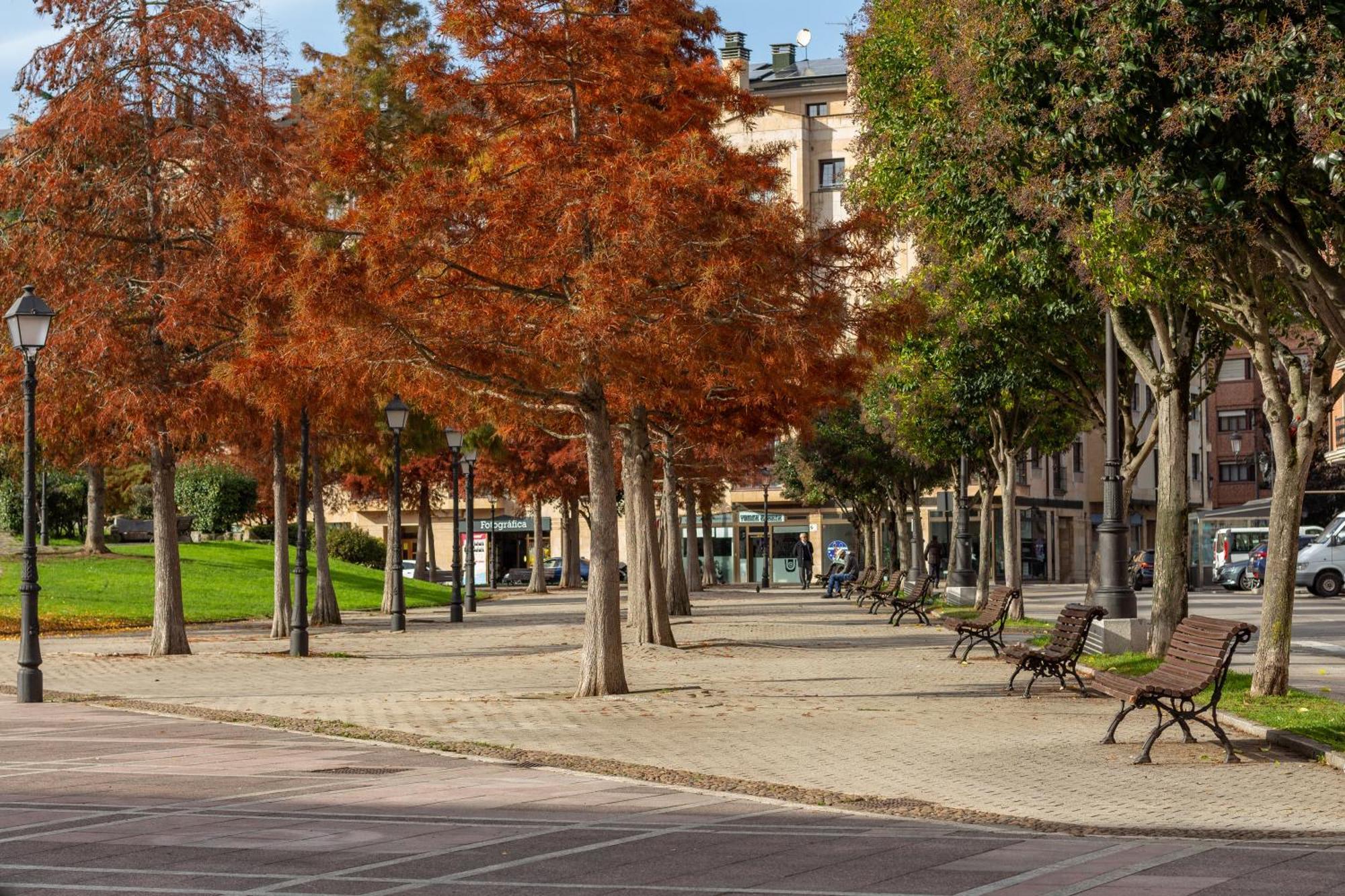 Ah King Size Apartment Vut5461As Oviedo Zewnętrze zdjęcie